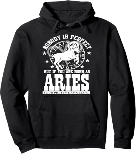 Aries Zodiac Sign Horoscope Astrology Humor Costume Pullover Hoodie - Aries Hoodie for men