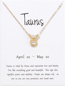 Silver Plated Zodiac Necklace for Women Jewelry Horoscope Sign Constellation Pendant Astrology Birthday Gifts Leo Jewelry with White Message Card - Taurus Products for men