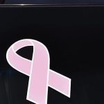 Pack of 12 Decals Pink & White Windshield Ribbon Breast Cancer Awareness Car Dealership - Cancer Car Accessories for men