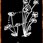 JIUFOTK Leo Metal Tin Signs Twelve Constellation Posters Home Decor Room Cafe Office Club Wall Decoration Zodiac Printing Plaque 8x12 Inches - Leo Canvas for men