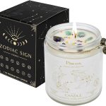 Zodiac Sign Candles, Zodiac Crystal Sign Candles,Astrology Scented Candles Best Friends Gifts for Women, Men Sister Brother Zodiac Funny Birthday Gift Candle Jar (Pisces) - Pisces for men