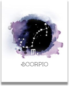 Scorpio Astrology Decor | Zodiac Gifts | Astrology Gifts for Women | Boho Wall Decor | Zodiac Signs | Astrology Posters | Zodiac Room Decor | Astrology Room Decor - 16x20 ready to hang canvas - Scorpio Canvas for men