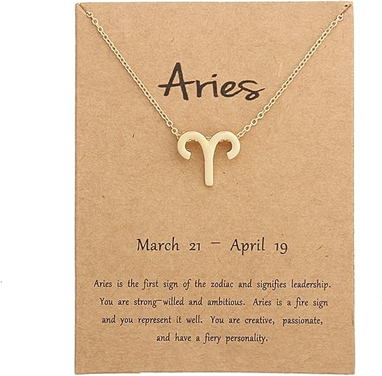 Silver Plated Zodiac Necklace for Women Jewelry Horoscope Sign Constellation Pendant Astrology Birthday Gifts Leo Jewelry with White Message Card - Aries for men