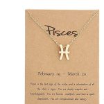Silver Plated Zodiac Necklace for Women Jewelry Horoscope Sign Constellation Pendant Astrology Birthday Gifts Leo Jewelry with White Message Card - Pisces for men