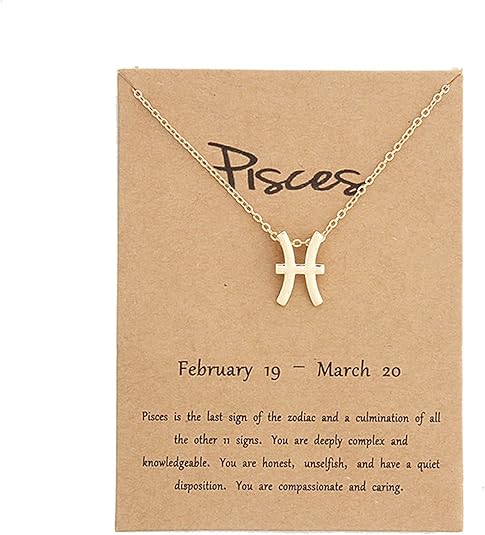 Silver Plated Zodiac Necklace for Women Jewelry Horoscope Sign Constellation Pendant Astrology Birthday Gifts Leo Jewelry with White Message Card - Pisces for men