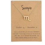 Silver Plated Zodiac Necklace for Women Jewelry Horoscope Sign Constellation Pendant Astrology Birthday Gifts Leo Jewelry with White Message Card - Scorpio Accessories for men