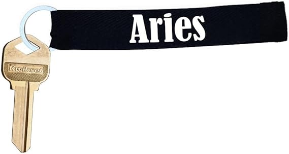Zodiac Sign Aries Wristlet Lanyard Keychain - Aries Keychain for men