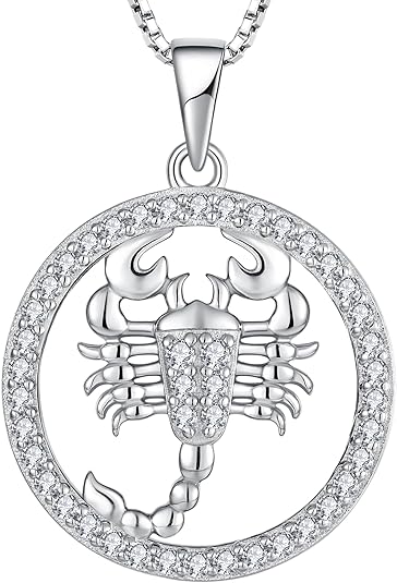 Women's Constellation Jewelry Sterling Silver Zodiac Necklace Astrology Disc Horoscope Pendant 18'' Box Chain - Aries Necklace for men