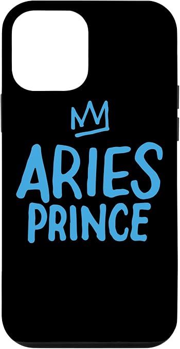 iPhone 12 mini Zodiac Sign Funny Aries Prince March April Birthday Boy Gift Case - Aries Phone Case for men