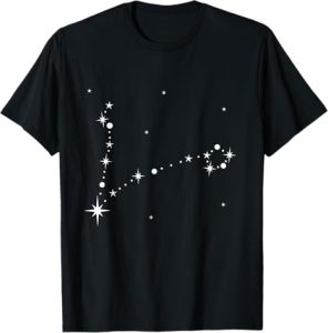 Pisces Star Zodiac Gifts Apparel Women Men DEILLUM - Pisces T-Shirt for men