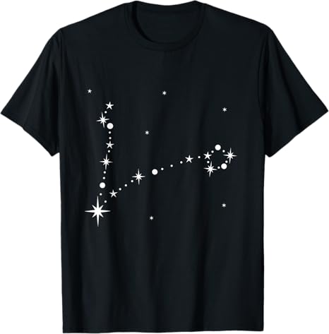Pisces Star Zodiac Gifts Apparel Women Men DEILLUM - Pisces T-Shirt for men