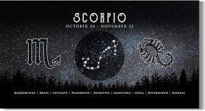 Scorpio Astrology Decor - Zodiac Gifts - Astrology Gifts for Women and Men - Boho Wall Decor - Zodiac Signs - Astrology Canvas - Zodiac Room Decor - Astrology Room Decor- 24x12 ready to hang canvas - Scorpio Canvas for men