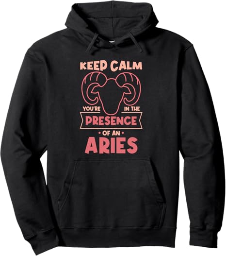 Outfits Pullover Hoodie - Aries Sweatshirt for men