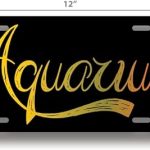 Aquarius | Zodiak Sign | Made in The USA | Car Auto | 6 x 12 Universal Vanity License Plate | Great Gift Idea | FBMLIC0024 - Pisces Car Accessories for men