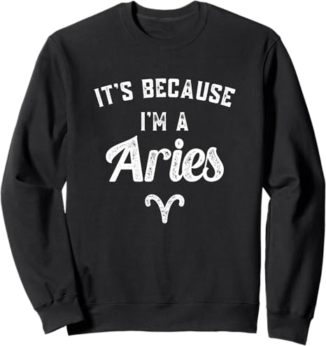Aries Zodiac Sign Sweatshirt - Aries Sweatshirt for men