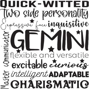 Zodiac Signs Iron on transfers Decal Patches Vinyl for t Shirts Fabric Clothing (Gemini) - Gemini Blanket for men