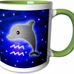 3dRose Cute Astrology Aquarius Zodiac Sign Dolphin 15oz Two-Tone Green Mug - Aquarius Mug for men
