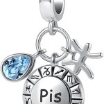 Pisces Zodiac Sign Teardrop Birthstone Birthday Charm Constellation Bead for Pandora Bracelet - Pisces for men
