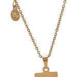 12 Constellation Necklace Stainless Steel Tarot Card Double-Sided Engraving Zodiac Pendant Necklace for Women Horoscope Gifts - Scorpio Accessories for men