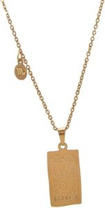 12 Constellation Necklace Stainless Steel Tarot Card Double-Sided Engraving Zodiac Pendant Necklace for Women Horoscope Gifts - Scorpio Accessories for men