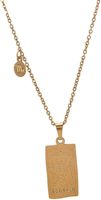 12 Constellation Necklace Stainless Steel Tarot Card Double-Sided Engraving Zodiac Pendant Necklace for Women Horoscope Gifts - Scorpio Accessories for men