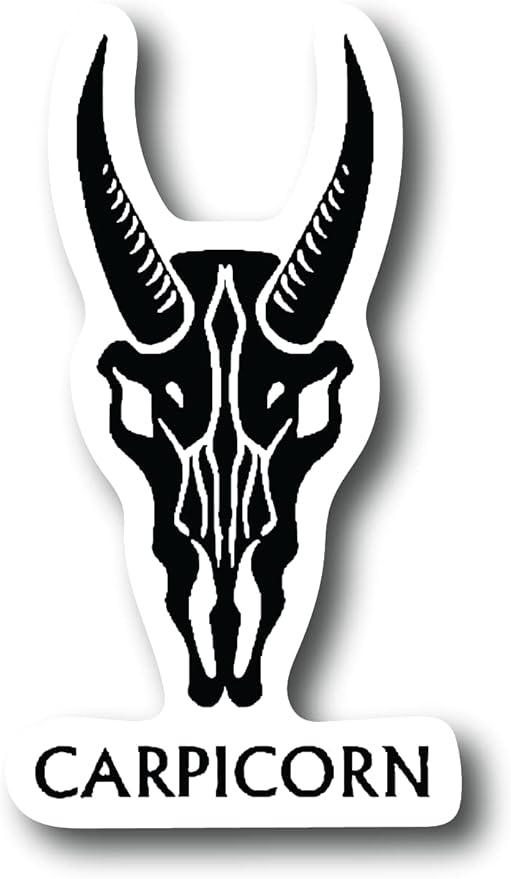 Capricorn 3 Inch Waterproof Decal Sticker Zodiac Astrology Signs Horoscope Chakra Creepy Skeleton Gothic Goth Grunge Halloween Castle Skull Animal Karma Ouija Spooky Tarot Oracle Palm Psychic Birth Month CS1444-2PK - Aries Sticker for men