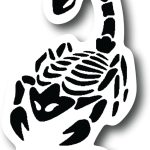 Scorpio 3 Inch Waterproof Decal Sticker Zodiac Astrology Signs Horoscope Chakra Creepy Skeleton Gothic Goth Grunge Halloween Castle Skull Animal Karma Ouija Spooky Tarot Oracle Palm Psychic Birth - Scorpio Sticker for men