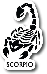 Scorpio 3 Inch Waterproof Decal Sticker Zodiac Astrology Signs Horoscope Chakra Creepy Skeleton Gothic Goth Grunge Halloween Castle Skull Animal Karma Ouija Spooky Tarot Oracle Palm Psychic Birth - Scorpio Sticker for men