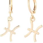 14k Gold Plated Zodiac Sign Drop Hoop Earrings for Women Birthday Gift - Pisces for men