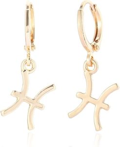 14k Gold Plated Zodiac Sign Drop Hoop Earrings for Women Birthday Gift - Pisces for men