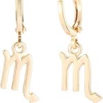 14k Gold Plated Zodiac Sign Drop Hoop Earrings for Women Birthday Gift - Scorpio Products for men