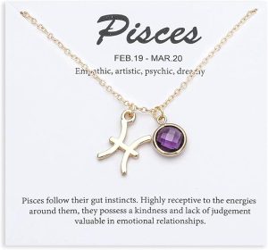 14k Gold Plated Zodiac Birthstone Crystal Pendant Necklace, Horoscope Sign Charm Necklace for Women Birthday Gift - Pisces for men