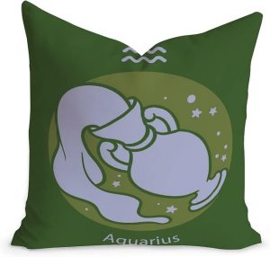 16x16in Zodiac Constellations Astrology Throw Pillow Cushion Aquarius Throw Pillow Cover Aquarius Zodiac Nursery Decor Modern Velvet Pillow Case with Zippe for Office Car Chair Sofa - Aquarius Pillow for men