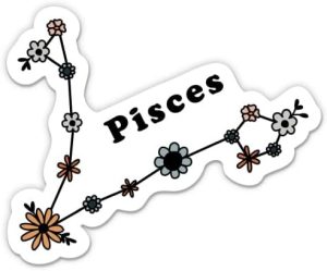 Pisces Floral Zodiac Stickers - 2 Pack - Waterproof Vinyl for Car, Phone, Water Bottle, Laptop - Pisces Decals (2-Pack) - Pisces Car Accessories for men