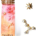 HAPPILY PLANTS - Taurus Earrings for men
