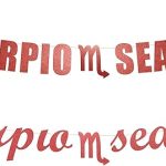 Scorpio Season banner - Scorpio, Horoscope Zodiac, Scorpio Birthday Decoration, Star Sign party Hanging letter sign (Customizable) (Customizable) - Scorpio Products for men