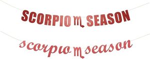 Scorpio Season banner - Scorpio, Horoscope Zodiac, Scorpio Birthday Decoration, Star Sign party Hanging letter sign (Customizable) (Customizable) - Scorpio Products for men