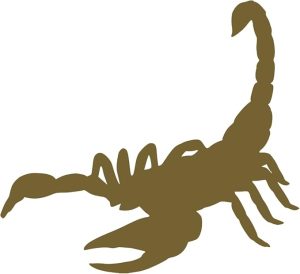 Scorpion Silhouette Scorpio Car Vinyl Decal Water Bottle Tumbler Vehicle Sticker - Scorpio Sticker for men