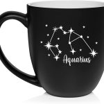 Daylor Star Zodiac Horoscope Constellation Ceramic Coffee Mug Tea Cup Gift (16oz Matte Black (Aquarius) - Aquarius Mug for men