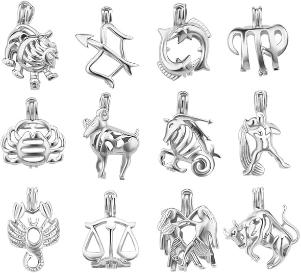 12Pcs Silver Plated Constellation Cage Pendants Crafting Charm for DIY Necklace Bracelet Jewelry Making - Aries Necklace for men