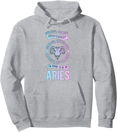 Be An Aries Zodiac Sign Aries Birthday Aries Astrology Pullover Hoodie - Aries Hoodie for men