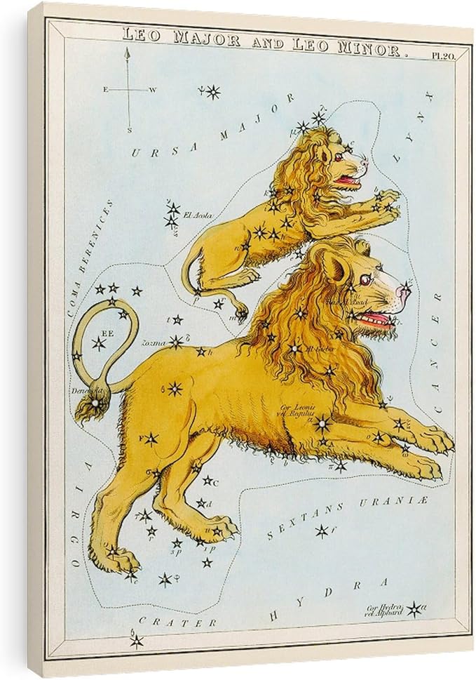 CafePress Canvas Wall Art Lion Leo Constellations Ready to Hang for Living Room, Bedroom or Office - Leo Canvas for men