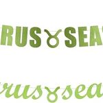 Taurus Season banner - Taurus, Horoscope Zodiac, Taurus Birthday Decoration, Star Sign party Hanging letter sign (Customizable) - Taurus Products for men