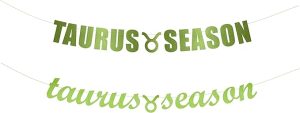 Taurus Season banner - Taurus, Horoscope Zodiac, Taurus Birthday Decoration, Star Sign party Hanging letter sign (Customizable) - Taurus Products for men