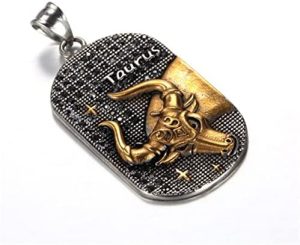 Scorpio 12 Constellations Necklace Gifts Gold Color Stainless Steel Amulet Pendant Zodiac Sign Jewelry DH1H9 (Taurus-55cm) - Taurus Products for men