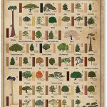 Carpenter Metal Sign Wall Decor Aluminium Poster Types Of Wood Retro Plaques Woodworking Knowledge Poster Woodworking Shop Wall Sign Farmhouse Home Decor 12x18 Inches - Pisces Home Decor for men