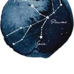 Virgo - Zodiac Sign Illustration Star Signs Poster Cardstock Art Print (12" x 16" inches) - Virgo Poster for men