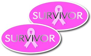Survivor Breast Cancer Awareness Pink Ribbon Vinyl Sticker (2 Pcs) - 3 x 6 Inch Women Empowerment Mom Life Stickers for Cars Van Truck - Cancer Car Accessories for men