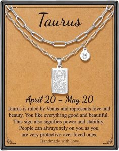 STORUP - Taurus Earrings for men