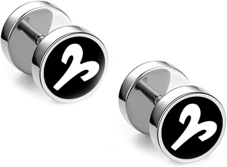 Gothic Earrings, Earings Stainless Steel Stud Earring No Gemstone Zodiac Sign Wedding Gift for Men and Women - Aries Ring for men